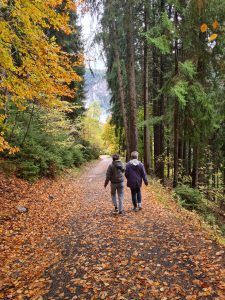 Two people getting outside in the woods to improve wellbeing